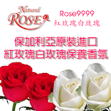 Rose9999紅玫瑰白玫瑰 icon