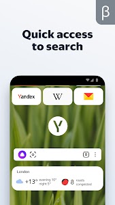 Yandex Browser (beta) Unknown