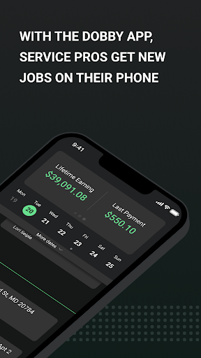Dobby Pro Screen 2