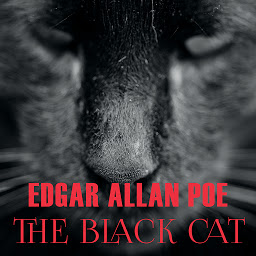 නිරූපක රූප The Black Cat