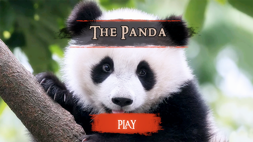 The Panda Screen 2