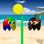 Beach Volleyball Online 2D