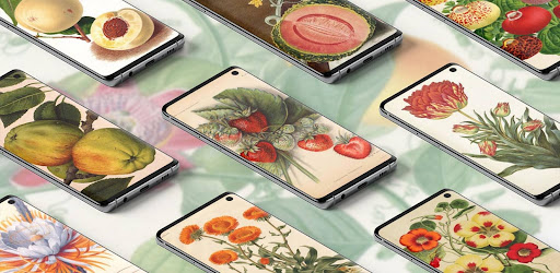 Android application Botanical Art Painting Ideas screenshort