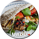 Kebabs Recipes in Urdu icon