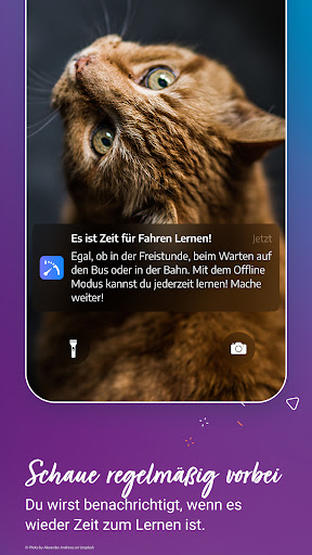 Fahren Lernen screenshot 14