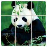 AnimalPuzzle icon