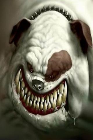 Antifurto Smartphone New