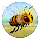 Bee Odyssey Download on Windows