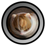 Fisheye Camera Lenses icon