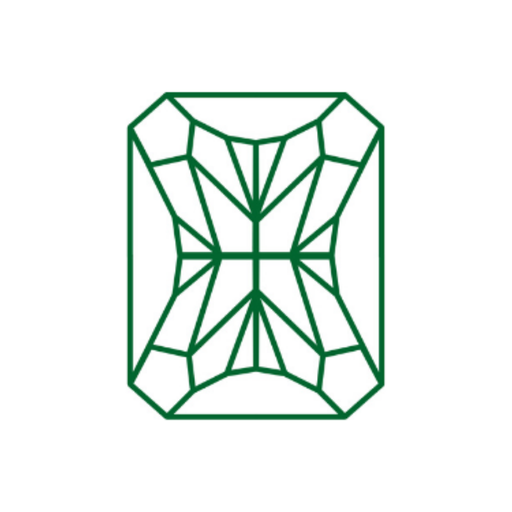 Full Focus logo