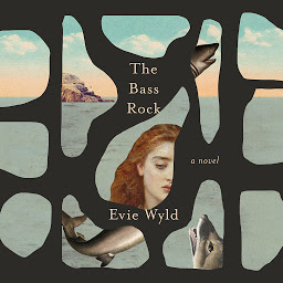 Icon image The Bass Rock: A Novel