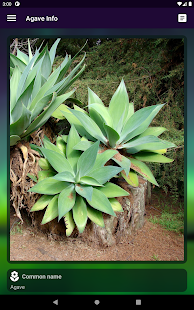 لقطة شاشة لأبحاث النباتات الاحترافية