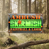 Ambush Paintball icon