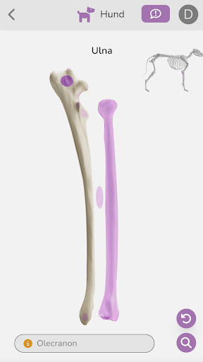 Vetflow Screen 3