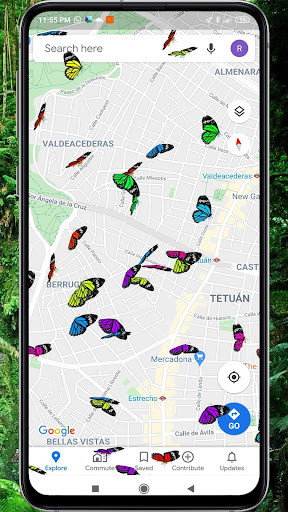 Butterflies on Screen Prank