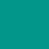 Teal Color for Facebook icon