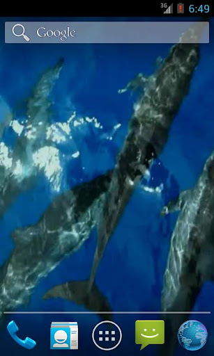 Wild Dolphins Video Wallpaper Screen 3