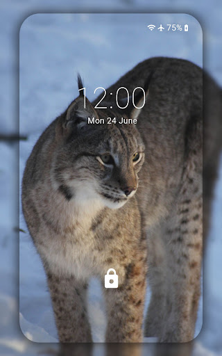 Lynx wallpaper