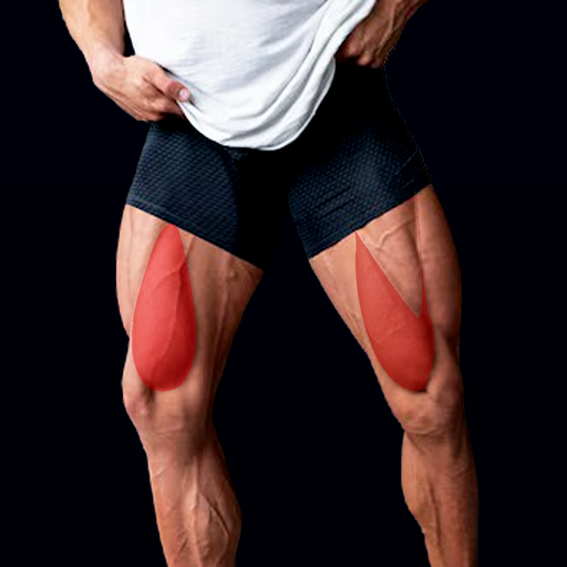 Leg Workouts for Men Download on Windows