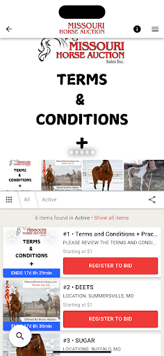 Missouri Horse Auctions