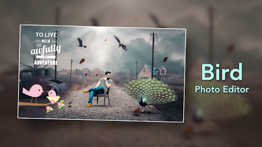 Bird Photo Editor Screen 3