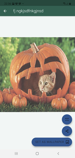 Happy Halloween Screenshot 4 - AppWisp.com