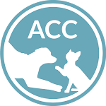 Cover Image of Download ACC of NYC  APK