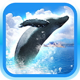 REAL WHALES Find the cetacean! icon