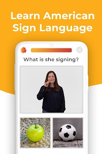 Lingvano Learn Sign Language Apk app for Android 5
