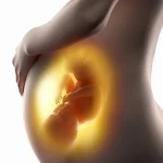 Cover Image of Download Pregnant. Pregnancy by week. Pregnancy calendar 3.84 APK