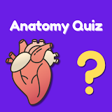 Anatomy Quiz: Trivia Body Game