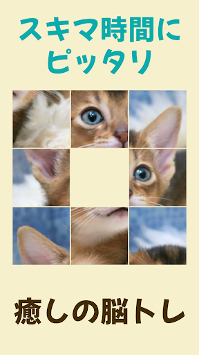 Android application ネコのパズルゲーム (パネルを動かして写真を完成させよう) screenshort