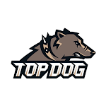 TOP DOG - Лига кулачных боёв Apk