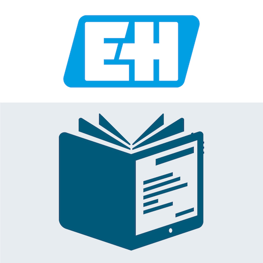 Endress+Hauser Kiosk logo