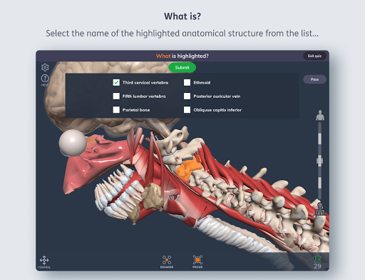 Primal’s 3D Human Anatomy Quiz