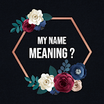 Cover Image of Unduh Name Meaning - Name Fact  APK