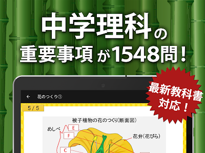 いろいろ 理科 勉強 アプリ 無料 309013-理科 勉強 アプ��� 無料