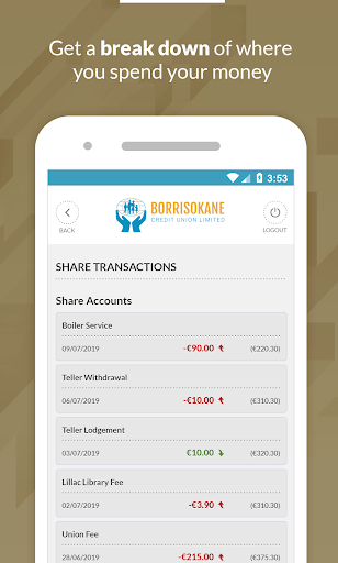 Borrisokane Credit Union Screen 3