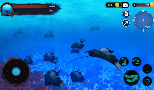The Manta rays 1.0.4 APK screenshots 15