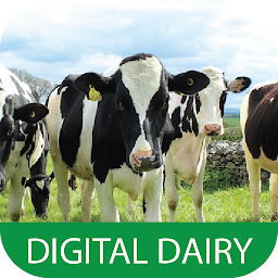 Ikonbilde Digital Dairy