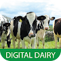 Digital Dairy