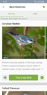 Merlin Bird ID by Cornell Lab