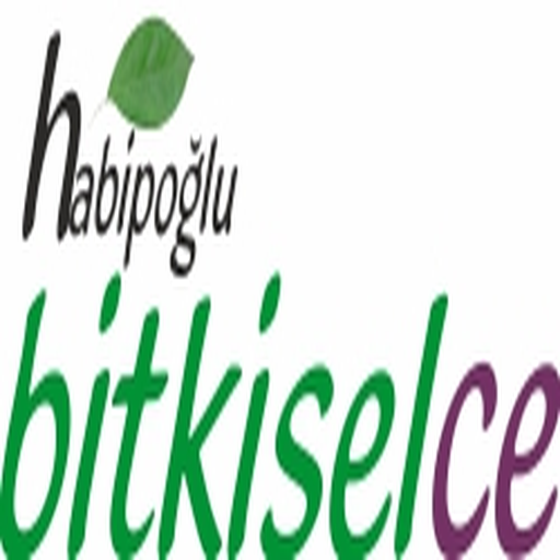 Bitkiselce Scarica su Windows