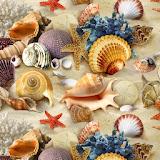 Seashell Wallpapers icon