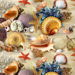 Seashell Wallpapers Apk