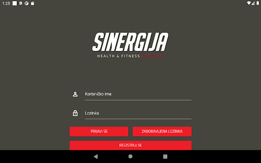 SINERGIJA concept Screen 3