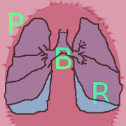 Pulmonary Board Review  Icon