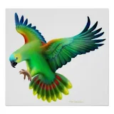 Parrot Bird HD Wallpaper icon