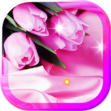Tulips Spring live wallpaper icon