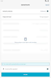 Screenshot image